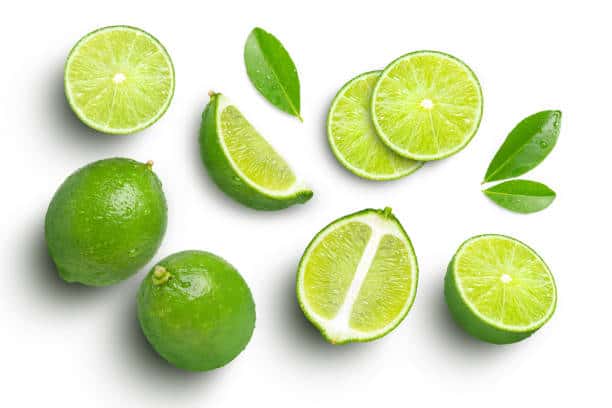 japan Lime Market Watch: Strategic Forecasts Amid Rising Economic Volatility