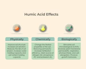 Man Made Humic Acid Fertilizer