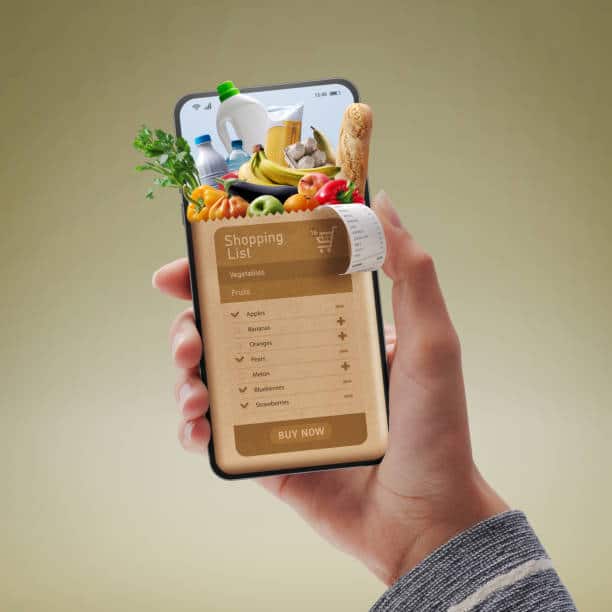 China Online Grocery Market Revealed Horizons: Forecast 2035 Size, Share, and Growth Insights