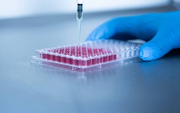 Cell Culture Monitoring Biosensor Market Outlook: Strategic Growth and Industry Insights