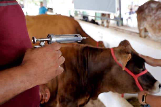 china Foot and Mouth Disease Vaccine Market Sector Outlook: Beyond the Curve in a Climate of Slowdowns and Trade Barriers