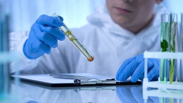 Japan In-Vitro Toxicology/Toxicity Testing Market Outlook 2025: Forecasting Growth in a Time of Economic and Policy Shifts