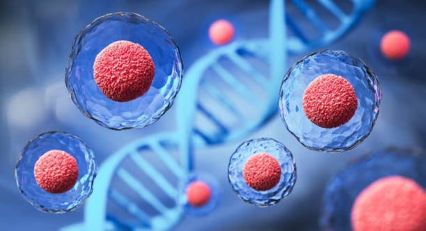 china Synthetic Stem Cells Market Industry at a Crossroads: Recession Threats and the Future of Global Trade