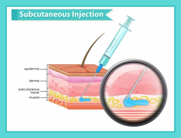 united states Subcutaneous Biologics Market Sector in Transition: Assessing Risk, Resilience, and Policy Disruption