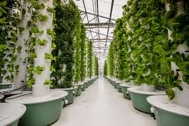 u61-Aeroponics-Farming
