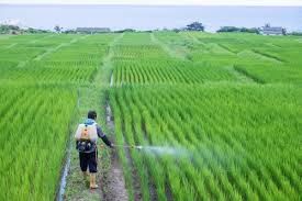 u61-Indonesia-Agrochemical