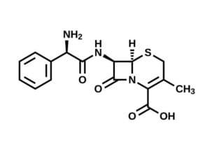 u61-PARP-Inhibitor