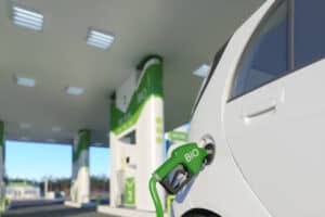 Bioenergy