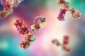 Cancer-Monoclonal-Antibodies