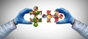 Food-Enzyme