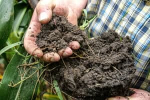 Regenerative-Agriculture