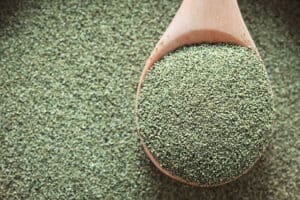Seaweed-Extract