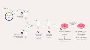 Transfection-Reagents-and-Equipment