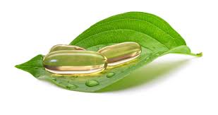 Vegetarian Softgel Capsules Market Report Forecasts Dynamic Growth Through 2035