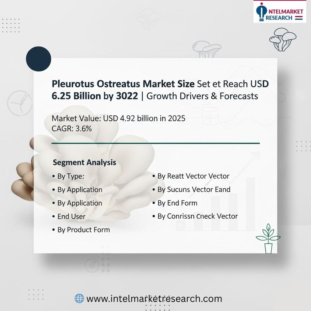 Pleurotus-Ostreatus-Market-1