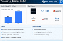 zinc-acetate-market_infograph-2