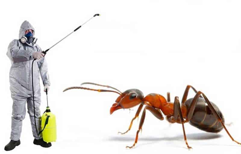 The Ant Control Market is projected to reach a market size of USD 15.34 Billion by the end of 2030.