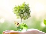 BIOFUELS