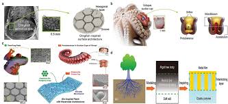 Global Biomimetic Adhesives Market is projected to reach the value of USD 494.95 Million by 2030.