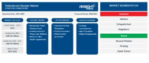 testosterone-booster-market-strategic-framework