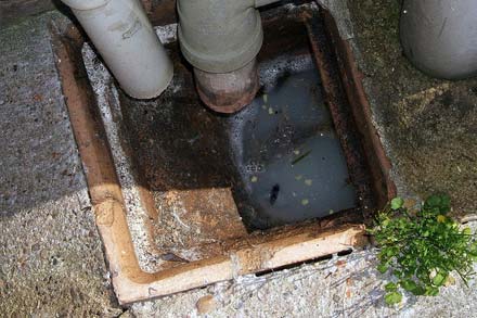 Blocked Drains and Pipes Cleared Penrith