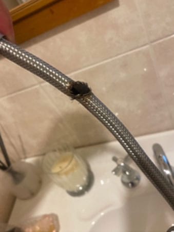 flexi hose 2