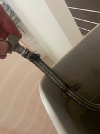 flexi hose 3