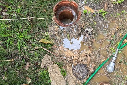 plumber asap