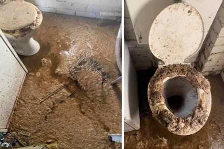 sewer drain