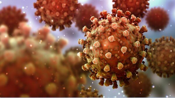 خلية الازمة في القبيات: حالة ايجابية