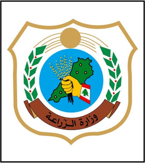 وزارة الزراعة: جولات فجائية في المحافظات لمنع احتكار المواد المدعومة بشقيها الزراعي والحيواني