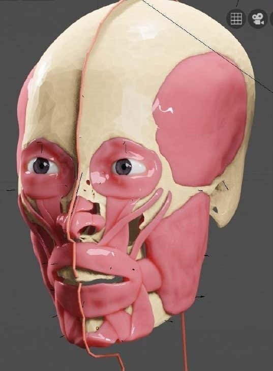 بالصور: العلماء يعيدون بناء وجه والد الملك توت عنخ آمون بشكل مذهل