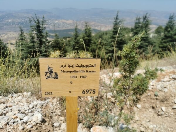مؤسسة المطران إيليا كرم تغرس أرزة باسمه في محمية أرز الباروك