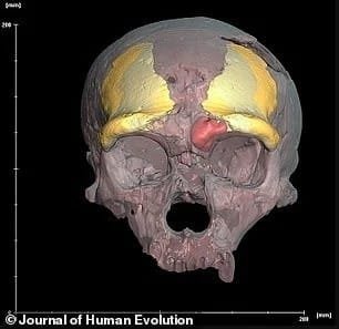 فيديو وصور: علماء يعيدون بناء وجه إنسان عاش ومات قبل 70 ألف سنة 4 فيديو وصور: علماء يعيدون بناء وجه إنسان عاش ومات قبل 70 ألف سنة