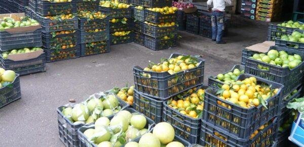 نقابة تجمع مزارعي الجنوب شكرت لبري رعايته شؤون القطاع واثنت على التنسيق بين وزارتي الزراعة والأشغال 1 Doc P 906118 637775261288103238