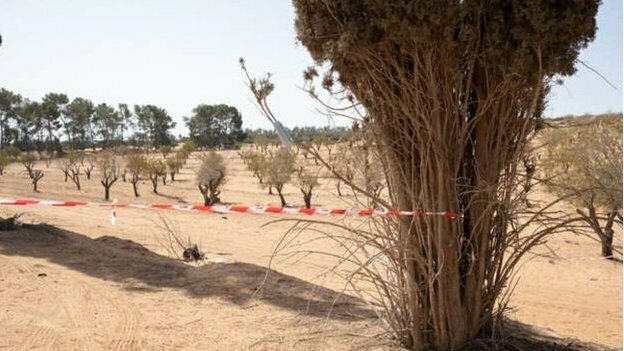 ليبيا: العثور على قبر جماعي يضم 42 جثة مجهولة الهوية في مدينة سرت الساحلية