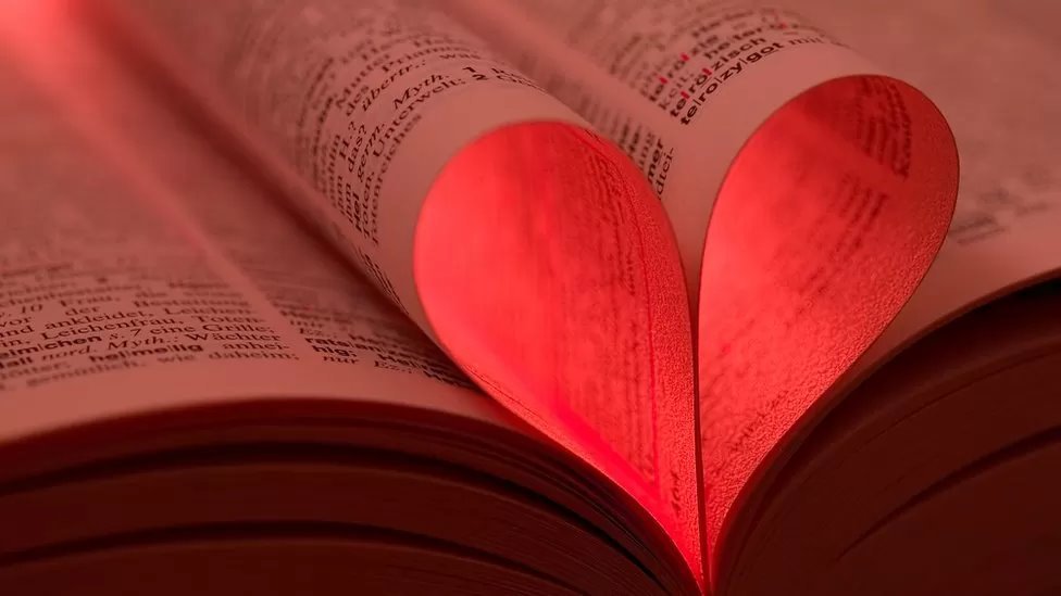 الروائية الأمريكية سوزان ميجن تعود إلى الظهور بعد عامين من إعلان وفاتها منتحرة