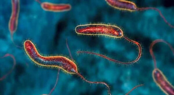 الصحة: 249 أصاب بكورونا و3 حالات وفاة.. ماذا عن الكوليرا؟