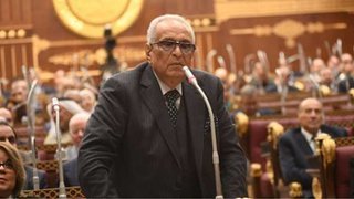 بهاء أبو شقة ودخل المصريين بالخارج: لماذا أثارت تصريحات نسبت لوكيل مجلس الشيوخ جدلا؟