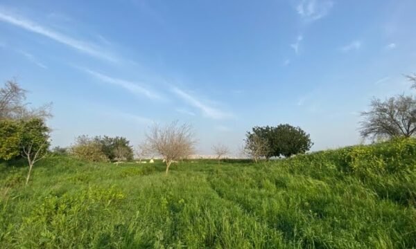 طقس لبنان ربيعي ودافئ.. هل من انخفاض بدرجات الحرارة؟