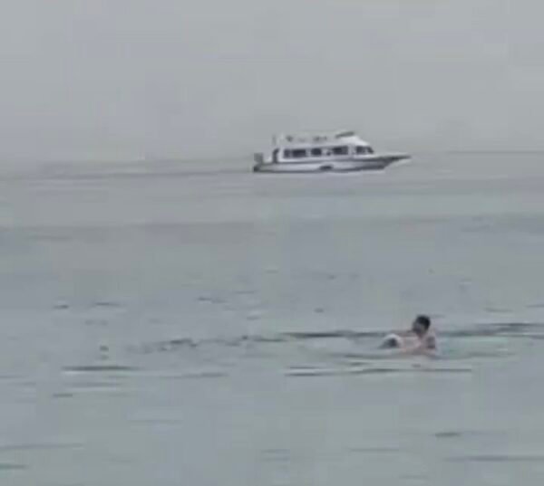 بالفيديو من مصر: وفاة سائح إثر تعرضه لهـجـوم ⁧‫سمكة قرش‬⁩ بأحد شواطئ ⁧‫الغردقة‬⁩