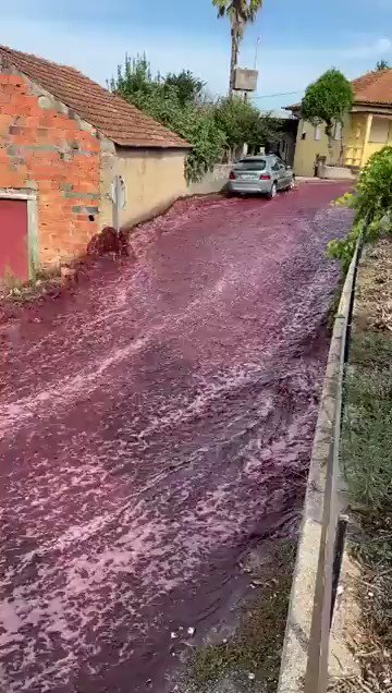 Video: Streets flooded with wine after tanks burst at Levira, Portugal distillery