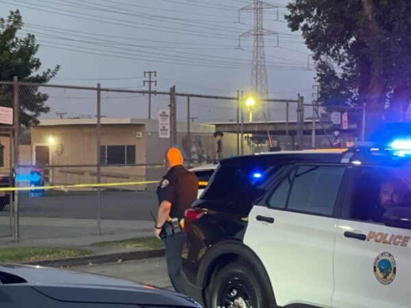 McKinley elementary school Update: Man with sledgehammer dies in parking lot 1 McKinley elementary school