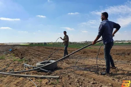 وزارة الزراعة تدعو المعنيين إلى تعبئة الاستبيان الأولي في شأن الأضرار اللاحقة بـ القطاع الزراعي 3 القطاع الزراعي
