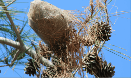وزارة الزراعة