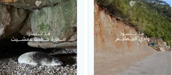 جمعية الأرض