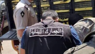الجمارك: ضبط 12 طناً من المانغا اليمنية وغرامة 3 مليارات ليرة والإتلاف