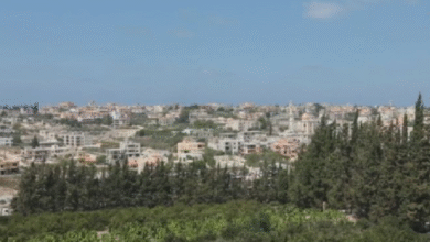 حريق كبير يلتهم مكب النفايات في أنصارية والجهود مستمرة لاحتوائه
