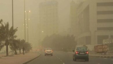 هل صحيح أن لبنان على وشك مواجهة موجة حر وغبار غير مسبوقة؟