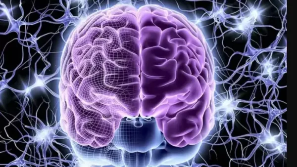 دراسة حديثة تكشف: الوعي ينشأ من الجزء الحسي في الدماغ وليس مركز التفكير
